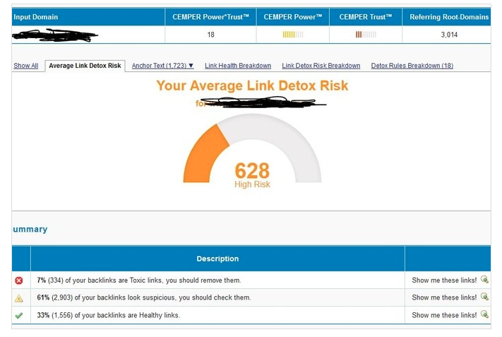 Backlink Analysis, Link Detox and Disavow Service