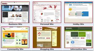 provide 6 websites ready made, fully monetized & professionally designed
