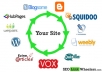create linkwheel of 15 web 2,0 blogs and backlink them with 200 social bookmarks+ 2000 wikilinks+ ping all links, Great Link Diversity:) 