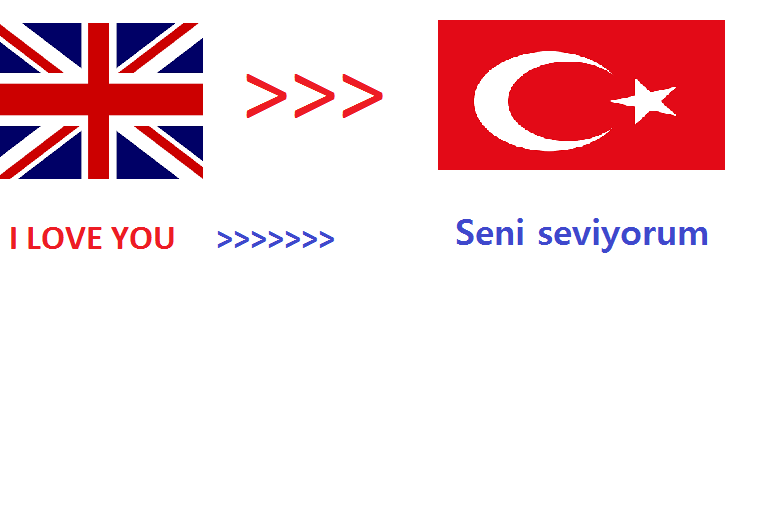 We will translate 500 English words to Turkish within...