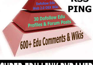 build 3 tiers edu gov link pyramid with 660+ links in total, each submitted to rss and pinger sites, article spinned for free 