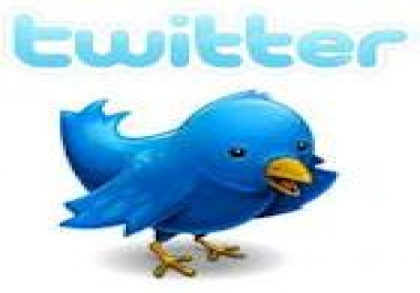 Increase 20,000 Real Looking Twitter Followers to Your Account Just Within 12Hr