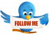 give you 600+ twitter follower only