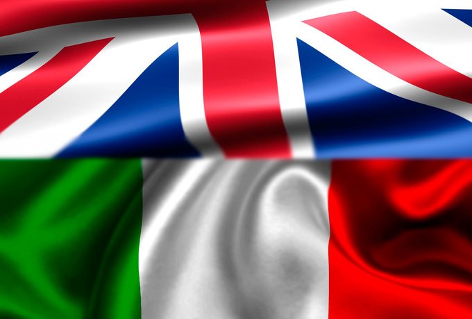 I will professionally translate 1000 words from English to Italian for