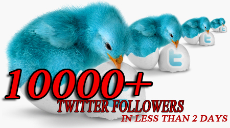Add 10000 Twitter Followers To Your Account