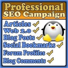 will make massive SEO Campaign High Page Rank backlinks