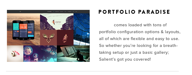 Make Wordpress website with premium themes and Plugins