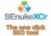 create Google Penguin Friendly Backlinks with SeNuke xcr 