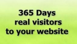 deliver real human traffic to your website for 1 full YEAR, adsense safe service only