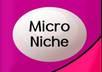 give you one micro niche keyword with 5400+ US exact Search and low competition