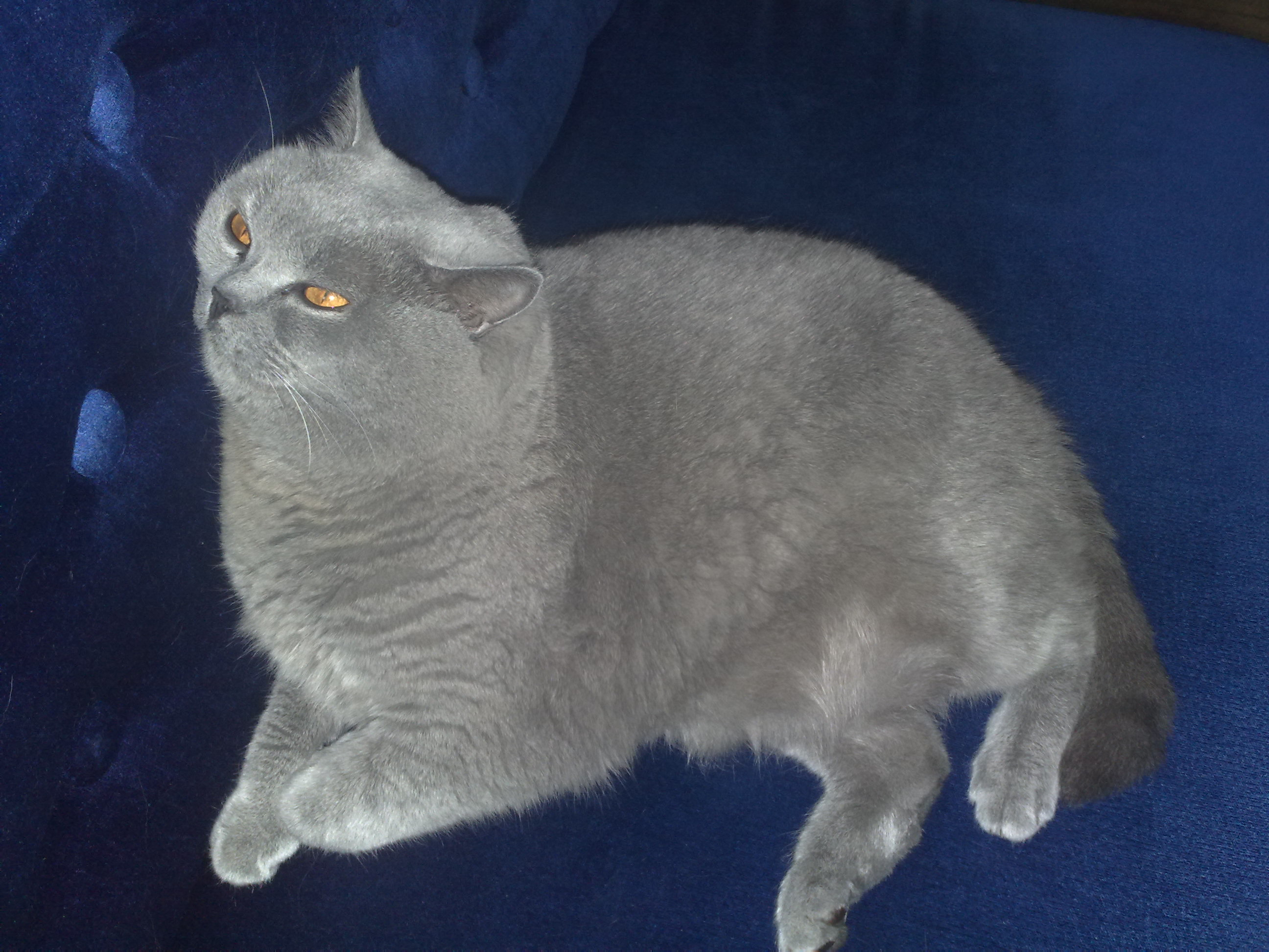 Prof 30 sec audio commercial script + voiceover + mus...