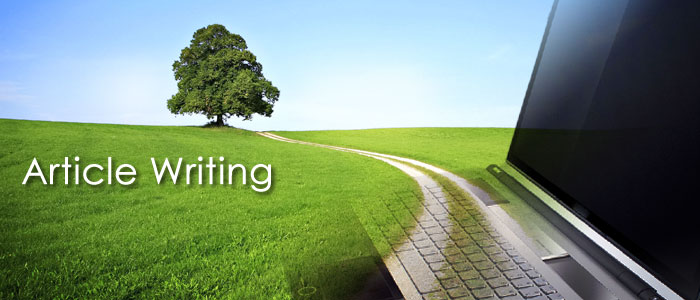 write a 500 word article & 10 High PR3+ Directory Submissions 