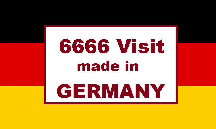 send 6666 human ORGANIC Germany Google Analytic visits   Traffic