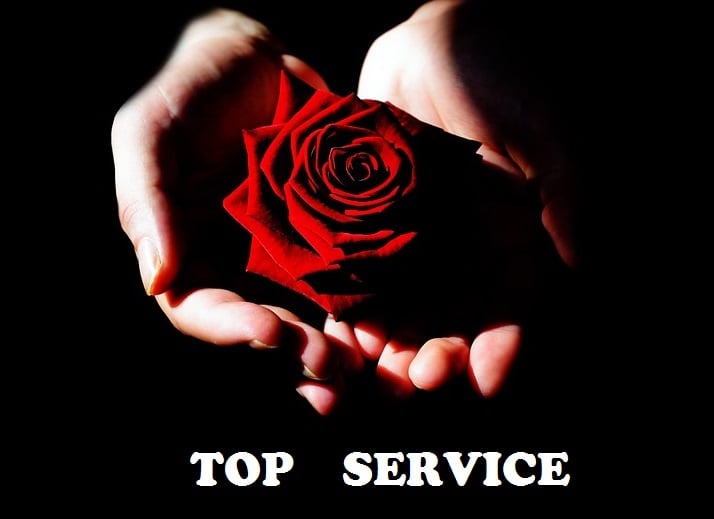 send 6666 human ORGANIC Germany Google Analytic visits   Traffic