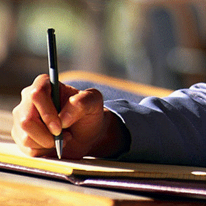 write 500 words articles