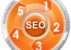  set up a complete link building campaign for your website thus getting faster rise in the search engines 