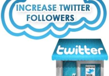 produce twitter followers approximately 5000++ in less than 24 hours