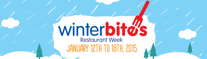 Professional Web Banner Design only