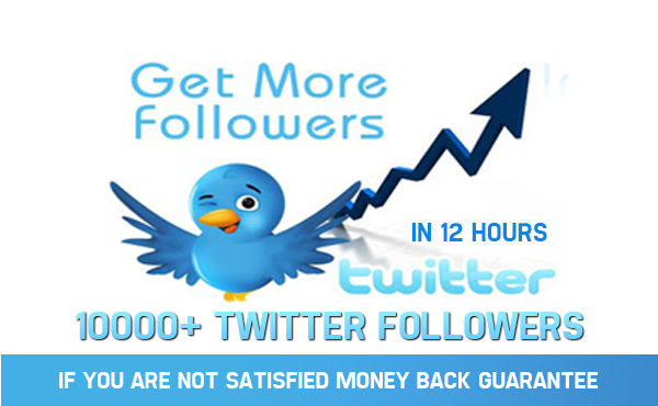 supply Real Twitter 10000++ Followers on your account without password