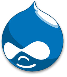 i will make website and solve issue for drupal