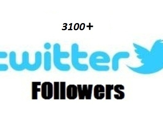 provide 3100++ twitter followers in your twitter profile to increase your twittter follower count