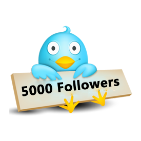Get You 5,000+ Real Looking High Quality Twitter Followers