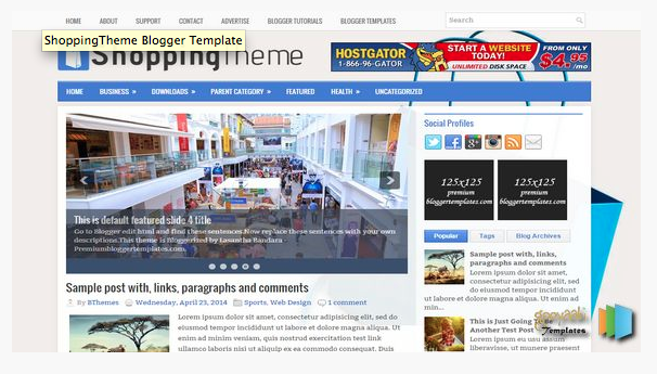 Build you a professional website