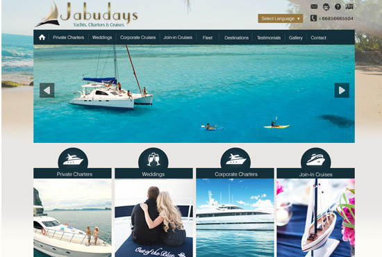 I will design a creative and stunning website for