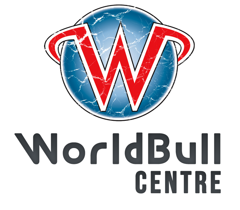 I will design 3 Professional Logo