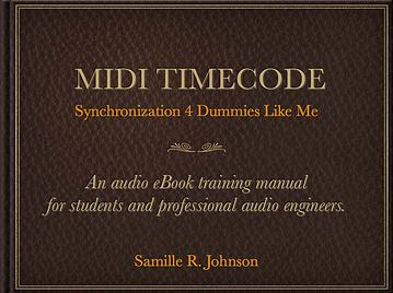 Provide Pro Audio Services Just For You