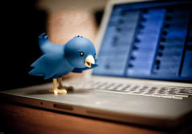 Get You 8000+ High Quality Twitter Followers