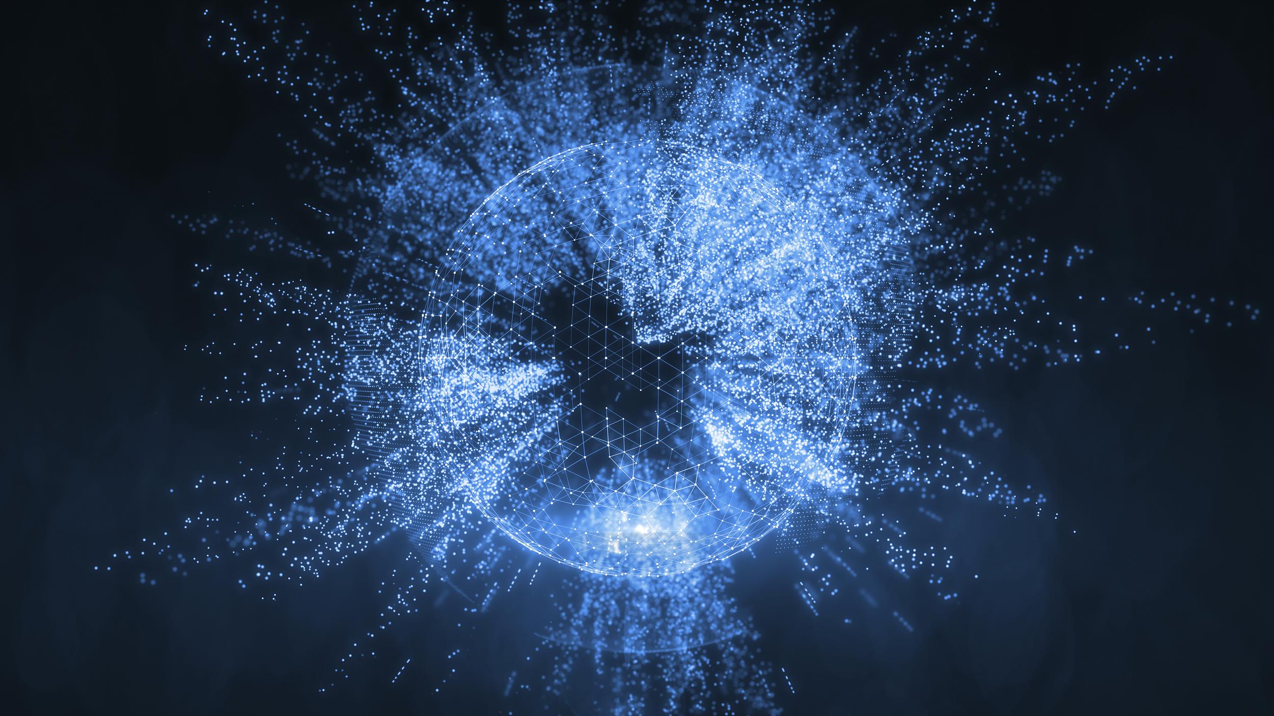 website developer/ designer