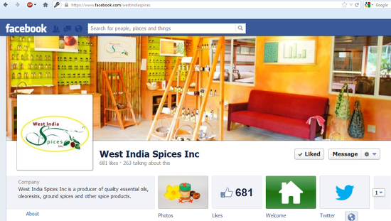 create Social Media Profiles/ Brand Pages On Facebook, Twitter,Google plus,Pinterest