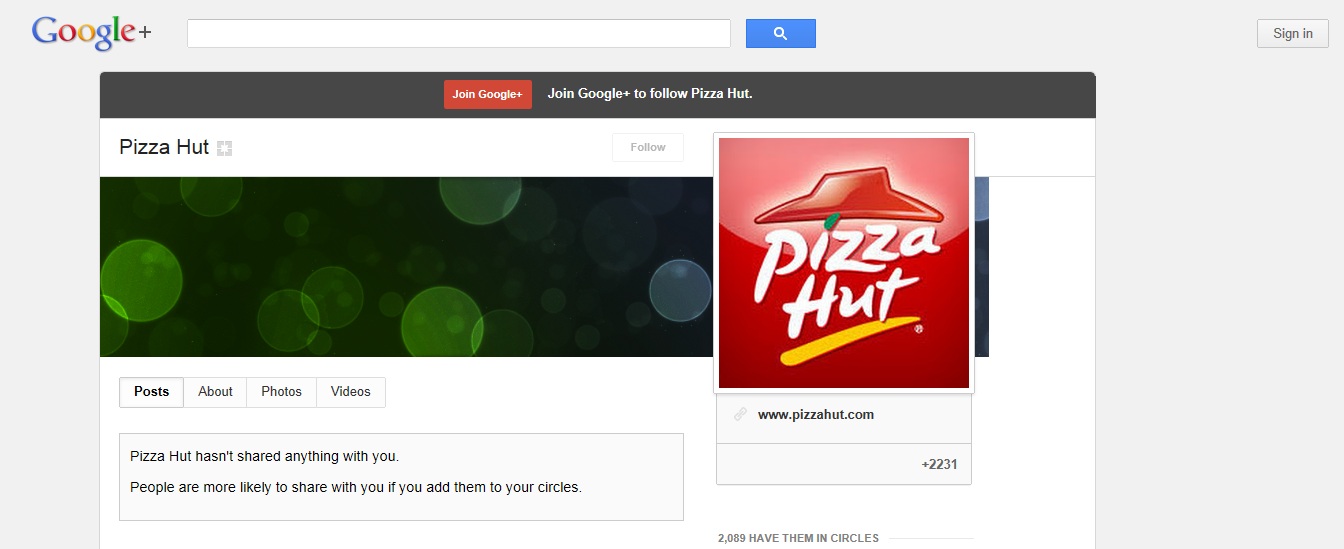 create Social Media Profiles/ Brand Pages On Facebook, Twitter,Google plus,Pinterest