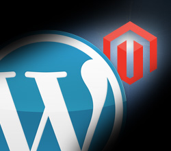 install WordPress and your theme plus essential plugins, provide WordPress tutorial, and optionally install Magento e-commerce software