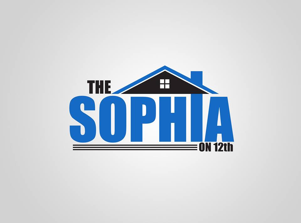 I will make a professional logo design for you for