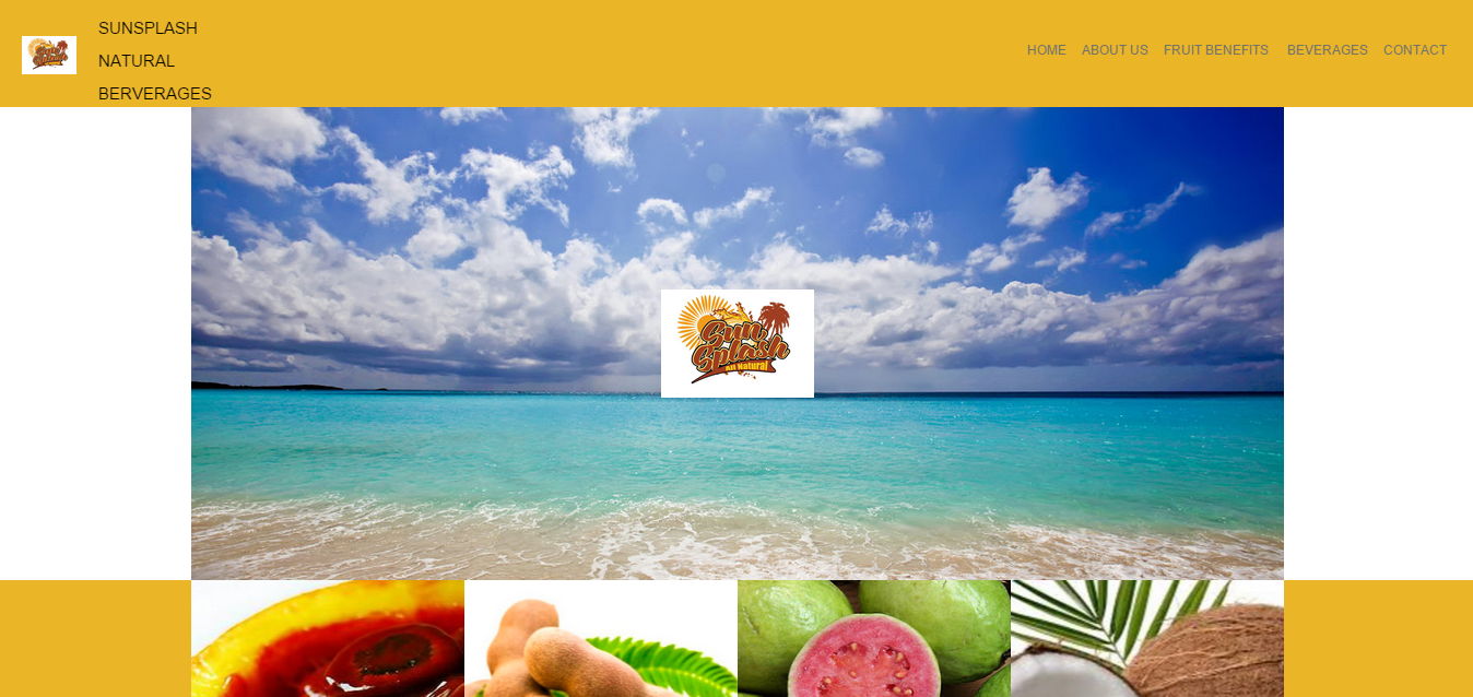 I will build professional website design