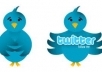 tweet your message to more than 50,000+ real usa followers 