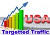 Generate 50k+ Per Day Real SEO Traffics with Social Referral & Search Engines (USA MOstly)