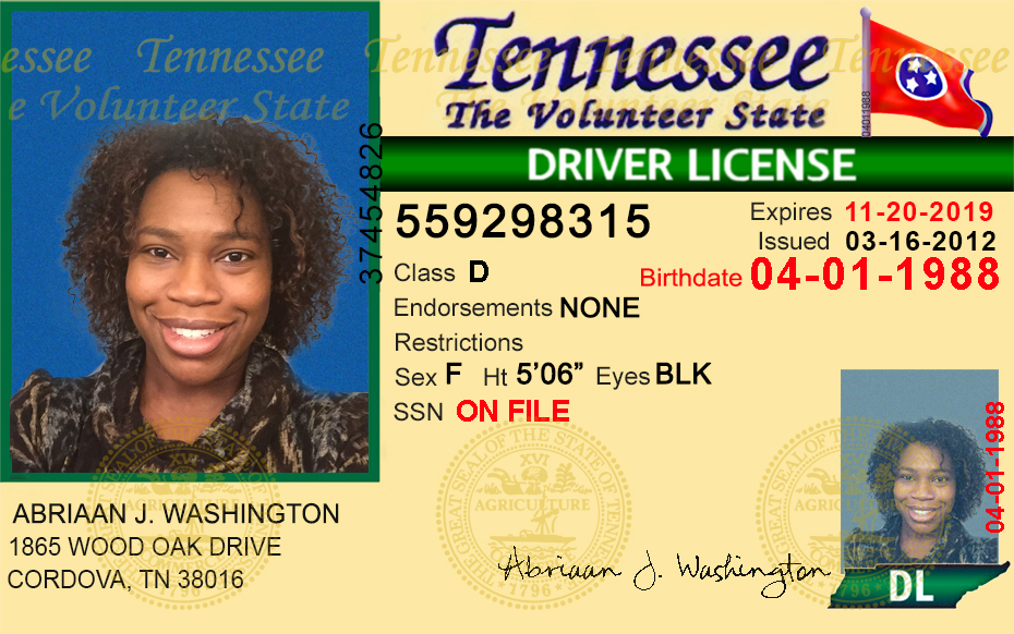 Drivers License Templates Photoshop - mlmeasysite