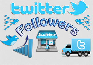 Get You 20,000+ Twitter Followers Within 12 To 24-Hours
