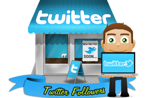 Get You 20,000+ Twitter Followers Within 12 To 24-Hours