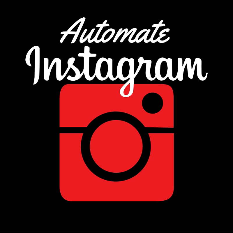 Social Media Management for $99 - SEOClerks - 800 x 800 jpeg 112kB