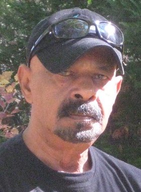 Unique quality article for different niches