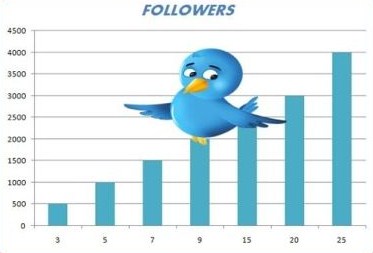 sent 11000+ twitter follower in 24 hours without admin access