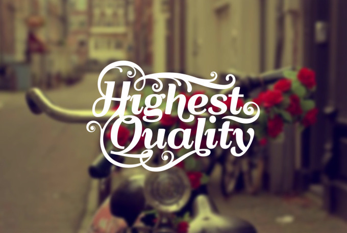 Design 4 Different Professional Logo designs with fre...