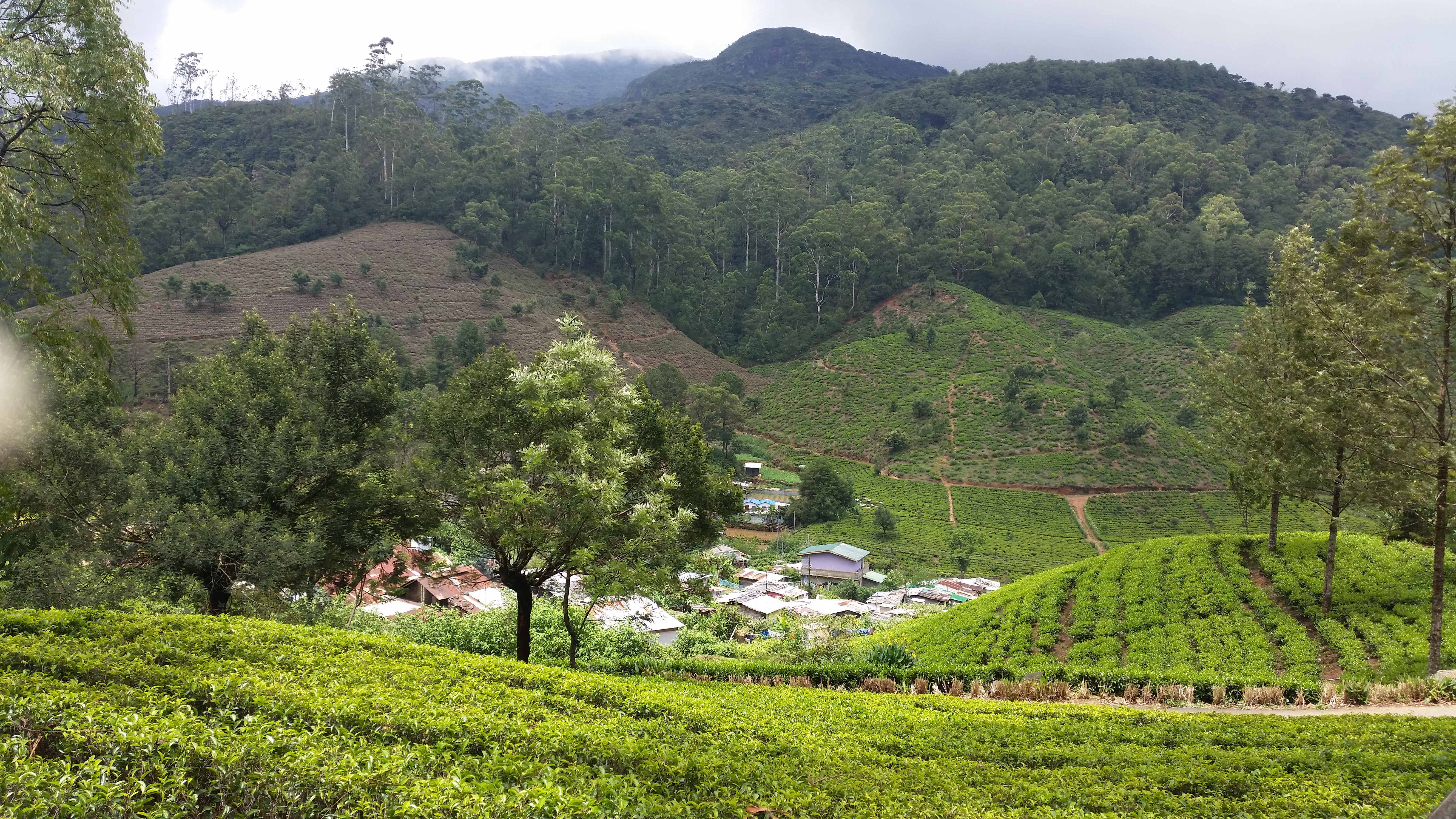 I will send you beautiful 10 photoes of Sri Lankan Nature