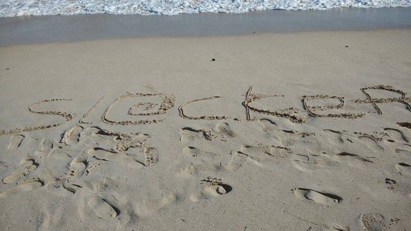 Web Designer Profesional