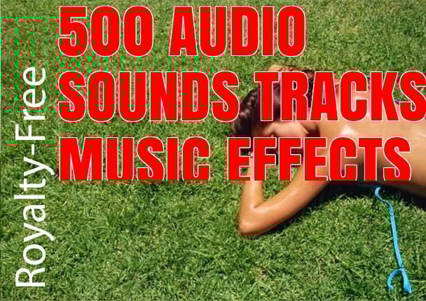 I will supply 500 PROFESSIONAL Royalty Free Music Tra...