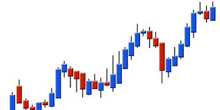 reveal the simple secret of making anywhere from 40 to over 100 pips in the FOREX market every single day 